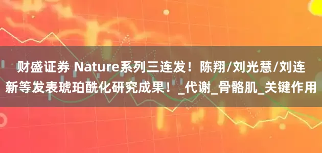 财盛证券 Nature系列三连发！陈翔/刘光慧/刘连新等发表琥珀酰化研究成果！_代谢_骨骼肌_关键作用